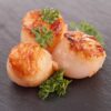 Diver Scallops - U10 Dry