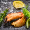 Fresh Florida Stone Crab Claws