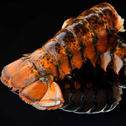 Lobster Tails (Maine Cold Water) - 16/20oz Tails