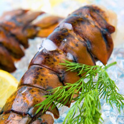 Lobster Tails (Maine Cold Water) - 3/4oz Tails