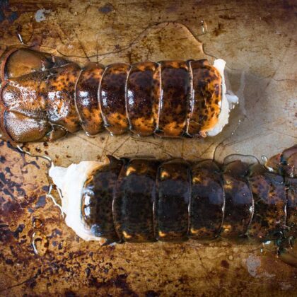 Lobster Tails (Maine Cold Water) - 8/10oz Tails